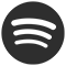 Spotify icon